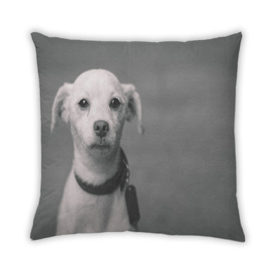 Coussin Dogs Dogs 24