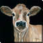 «Jersey Girl» par Michele Norman - reproduction sur toile-1147932973-1147933021