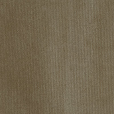 Highbury-Classic Velvet Fabric