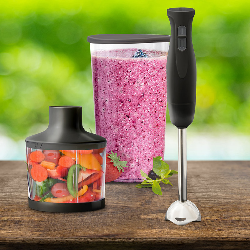 Eternal 2 Speed Hand Immersion Blender