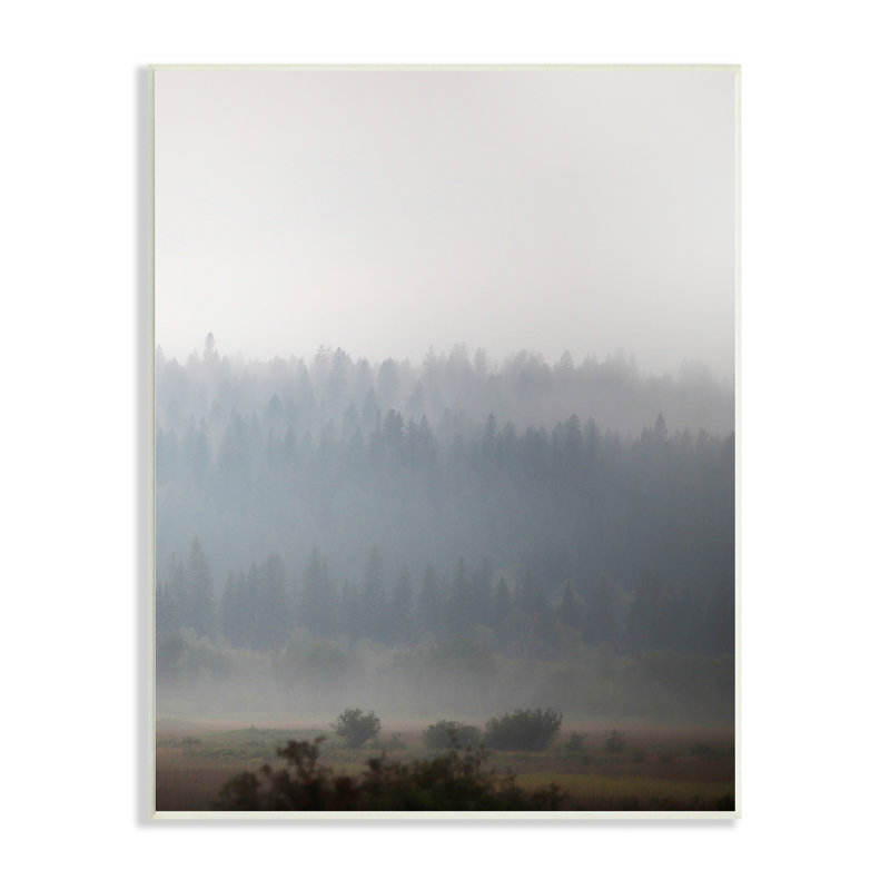 "Peaceful Fog", paysage champêtre boisé, arbres, nuages surdimensionnés par Carol Robinson, Plaque murale, L 10 po x H 15 po