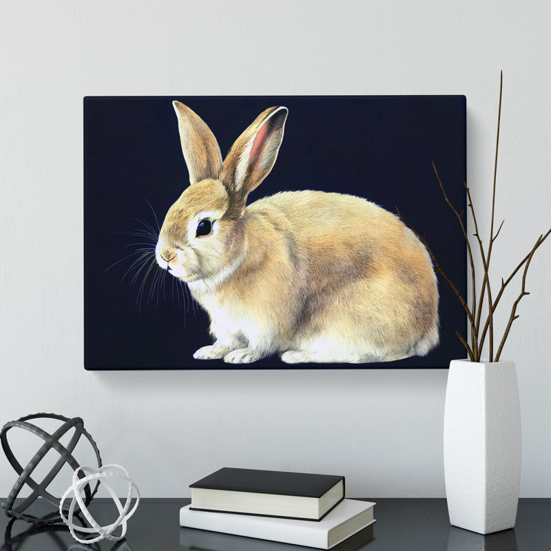 Lone Rabbit - Wrapped Canvas, 50cm H x 76cm W x 3cm D