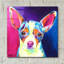 "Chihuahua - Brady" par Dawg Painter-1966683338