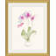 Potted Orchids Painting by Yuki Osada