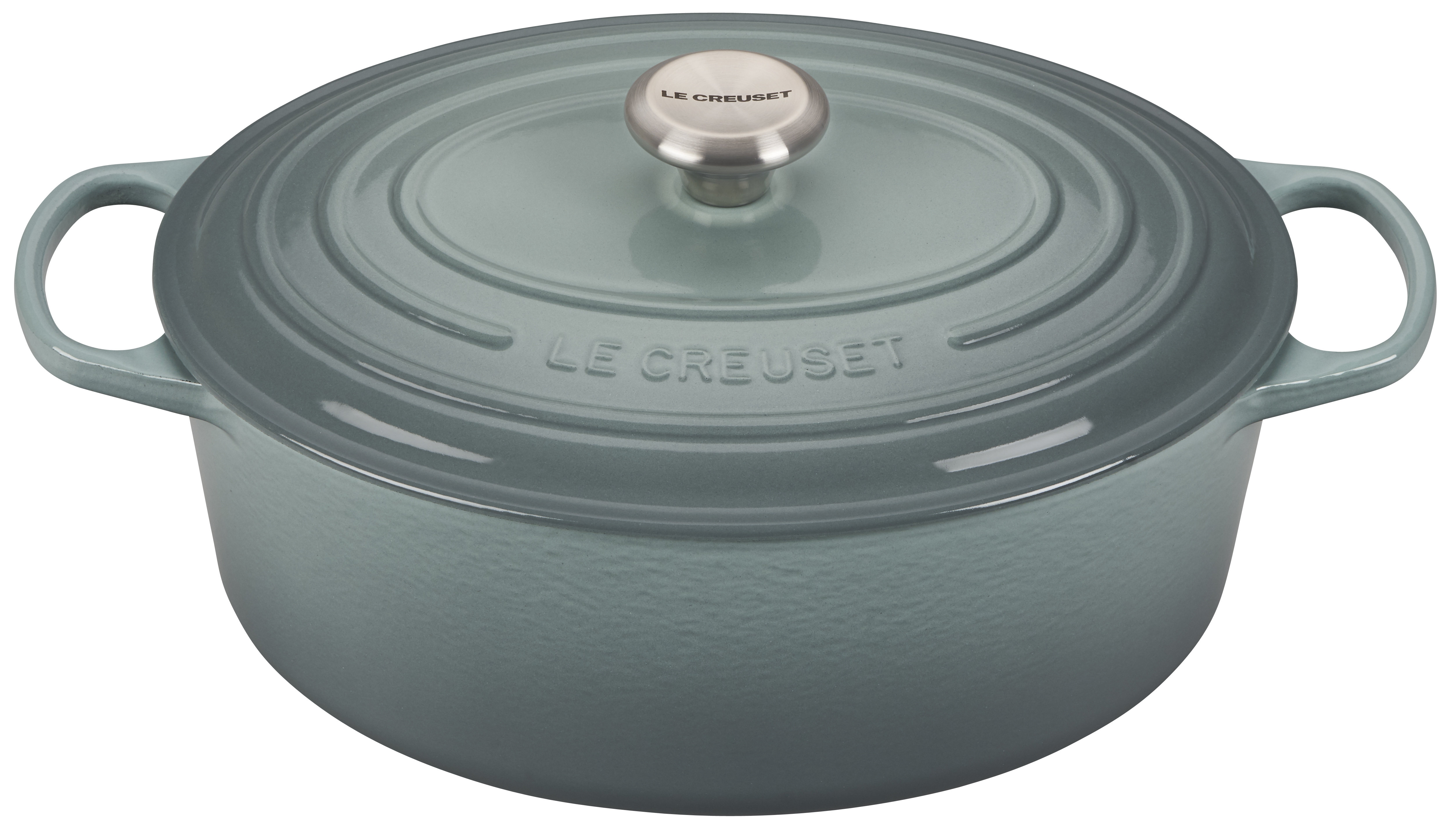 https://assets.wfcdn.com/im/02303791/compr-r85/2106/210617538/le-creuset-signature-enameled-cast-iron-oval-dutch-oven-with-lid.jpg