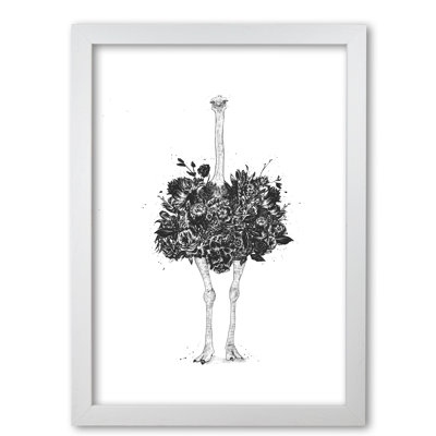 Floral Ostrich 1 Piece Wall Art