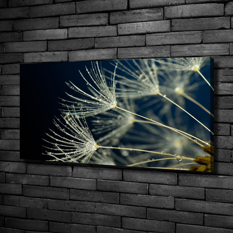 Dandelion Seeds - Print, 50cm H x 100cm W x 2cm D, Canvas