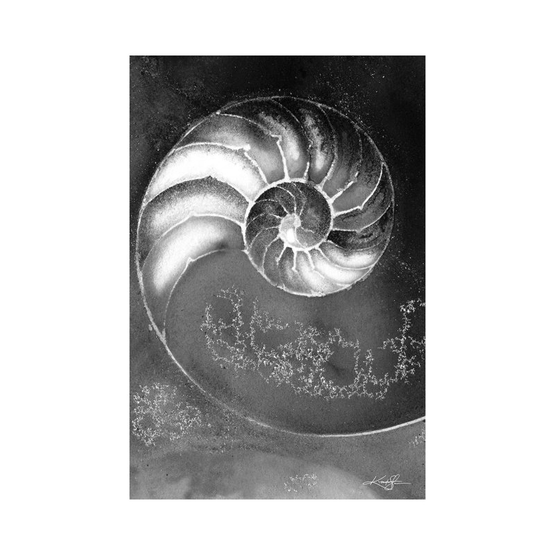 Nautilus Shell IIIB by Kathy Morton Stanion - Wrapped Canvas Print, 152.5 cm H x 101.5 cm W