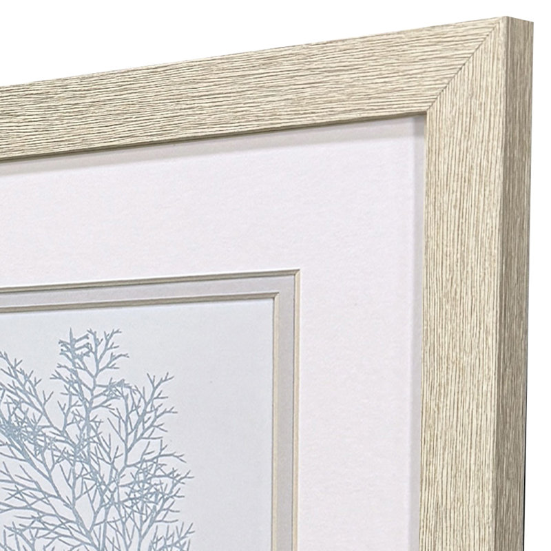 Soft Coral Framed Art