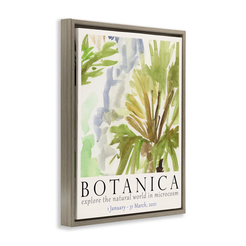  «Botanica Museum», affiche encadrée sur toile flottante par June Erica Vess, H 31 po x l 25 po