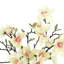 Organic Modern Butterfly Magnolia Arrangement