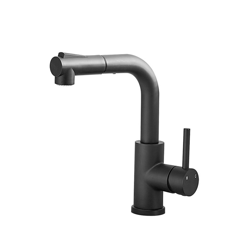 Single Handle Pull Out Sprayer Stainless Steel Kitchen Faucet, Matte Black
