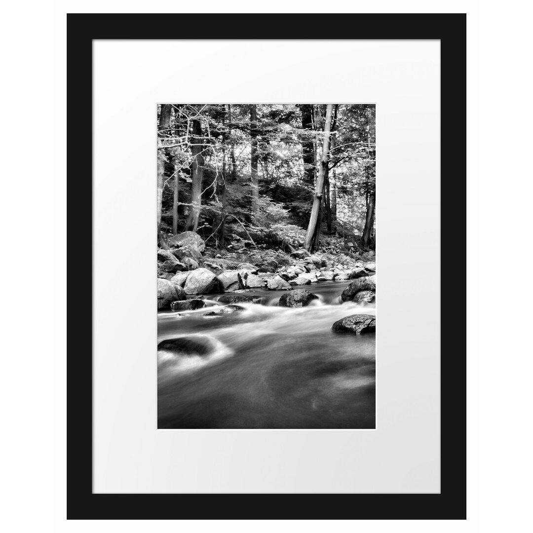 Gerahmtes Poster Fluss im Wald mit Steinen