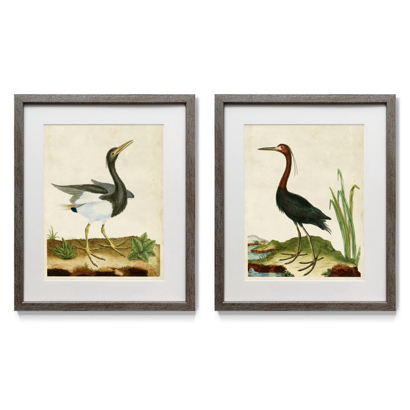 Heron portrait, ensemble de 2 reproductions de photos encadrées sur papier