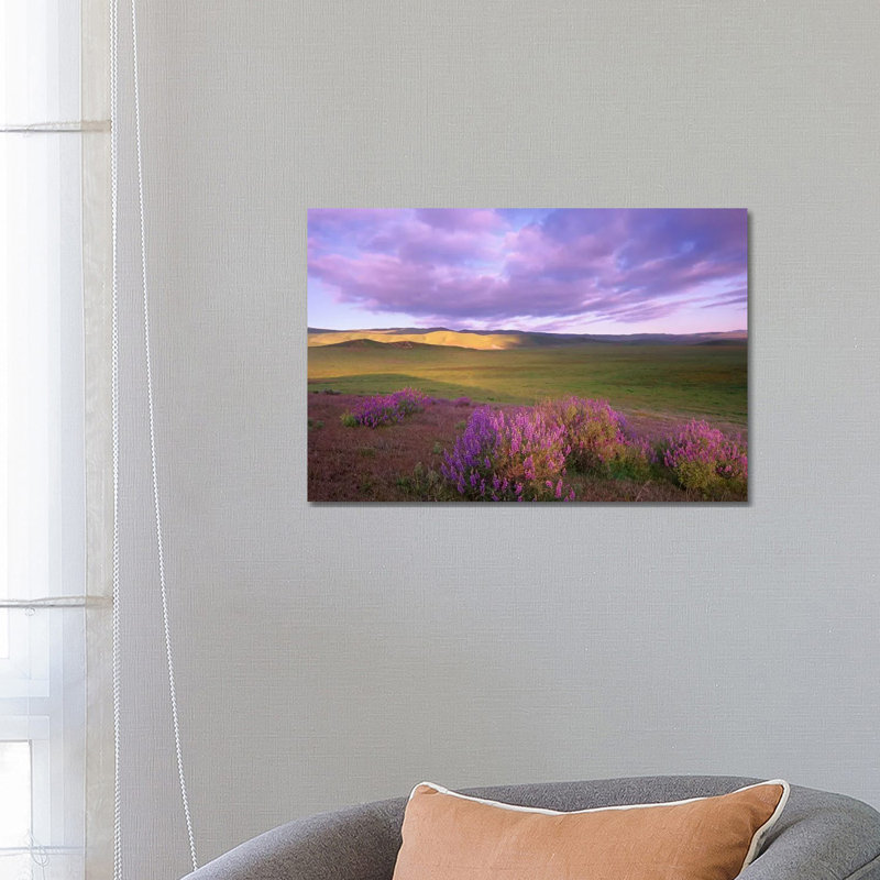 Large-Leaved Lupine in Bloom Overlooking Grassland, Carrizo Plain National Monument, California 1 Piece Wrapped Canvas Wall Art