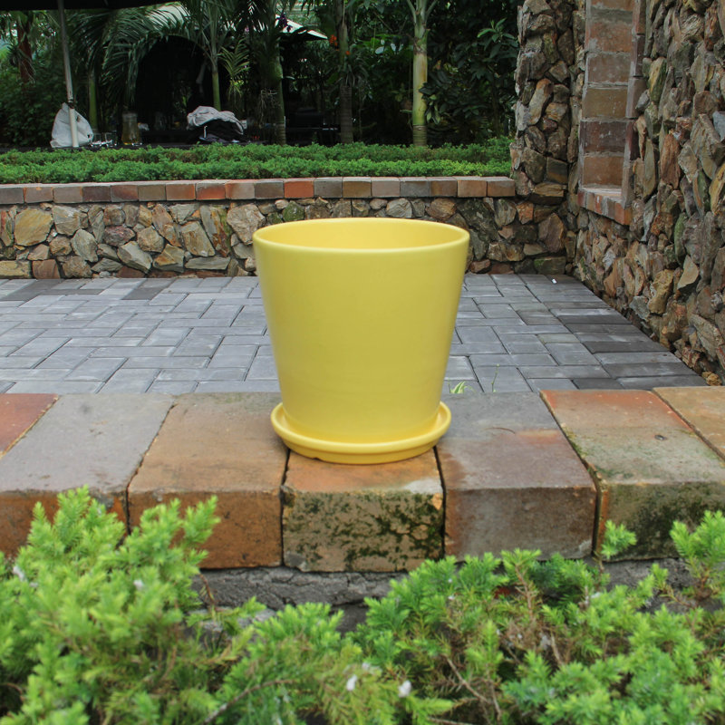 Pansy Ceramic Pot Planter, Banana Yellow