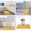 Amileah Solid Colour Indoor / Outdoor Area Rug-138391337