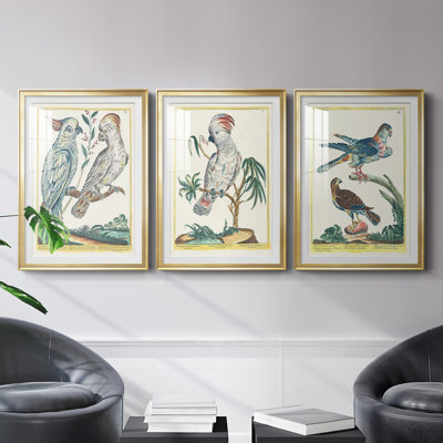 «Pastel Birds I», reproduction encadrée de qualité supérieure - prête à être accrochée