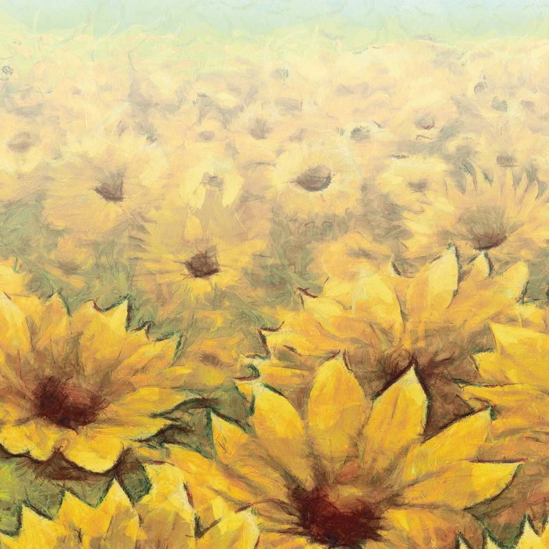 Sunflower - Wrapped Canvas Painting, 91cm H x 91cm W
