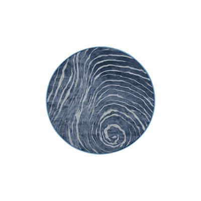 Machine Washable Blue Area Rug