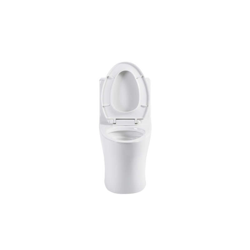 1/1.60 Toilet, Glossy White. Water Saving Bathroom Facility. Comfort Height. Seat. Elongated Bowl, 1000 Gram Flushing Score. Compliant Gloss Toilet For Bathroom. Soft Closing