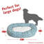Charlie et Sherpa Bagel Donut-35291497-35291500