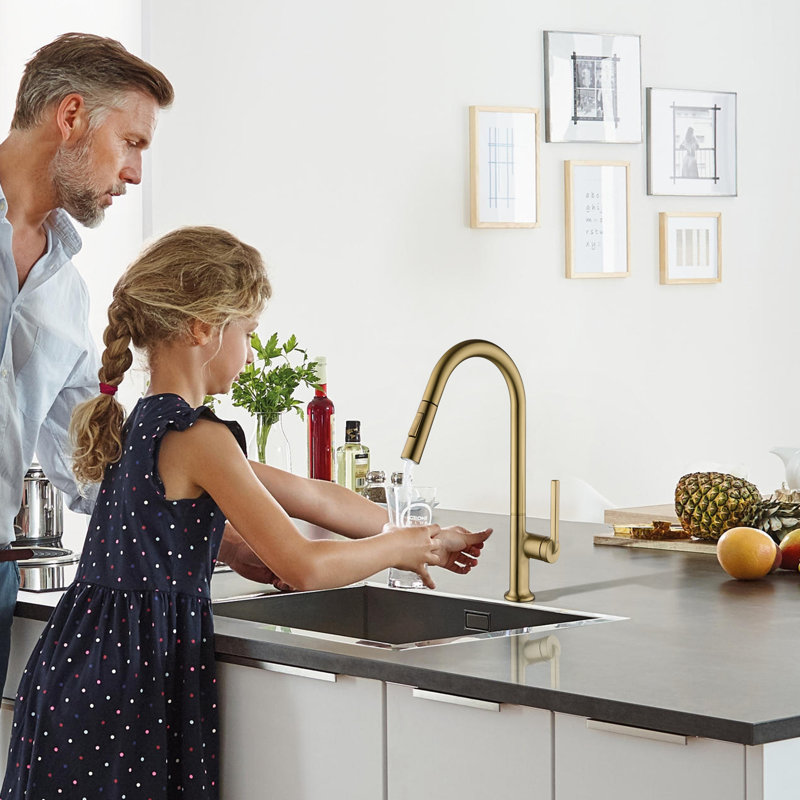 Pull Out Sprayer Kitchen Sink Faucet, Single Handle Kitchen Faucet, Gold