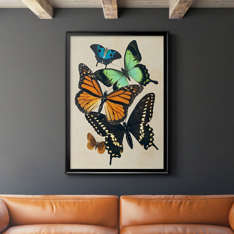 Collage de papillons I, impression sur papier, Noir, H 36,5 po x l 26,5 po x P 1 po
