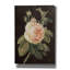 «Heirloom Pink Rose On Black» par Danhui Nai, art mural sur toile-1740689365