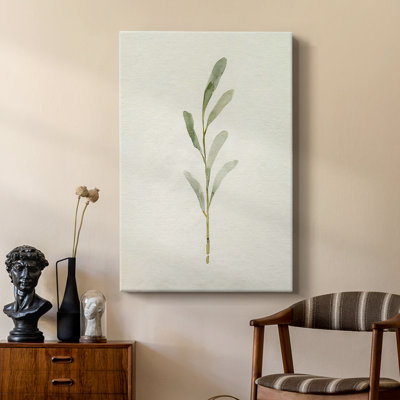 Olive Leaves II - galerie Cavas sur mesure