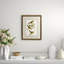Maryland Yellow Warbler Print