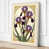 Cream Border