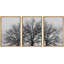 Abstrait arbre en hiver, paysage gris, photo moderne, paysage, décoration murale-102297431-102297433