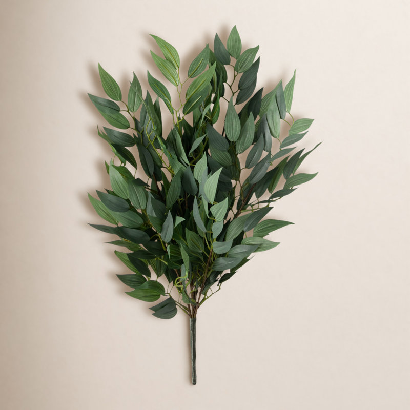 Arrangement Ruscus