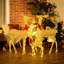 Christmas Decoration