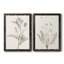 «Neutral Botanical Study VIIP», reproduction d'art encadrée - prête à être accrochée-559107757-559107760-558944093