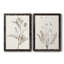 «Neutral Botanical Study VIIP», reproduction d'art encadrée - prête à être accrochée-559107757-559107760-558944171