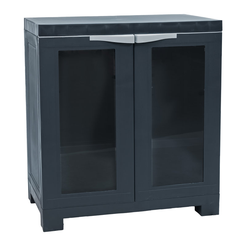 Storage Cabinet with Adjustable Shelf and 2 Windows - Charcoal