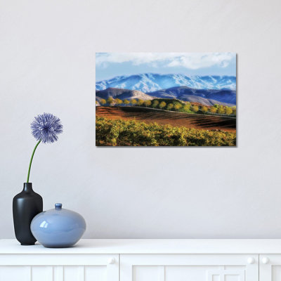 " Temecula Valley " by Michelee Scott