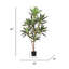 60 "Real Touch Dracaena plante en pot noir