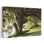 Jardin à Riverside Middleton Place Charleston, Charleston County, Caroline du Sud, États-Unis, paysage abstrait, art naturel