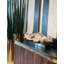 Orchid Stems in Planter-1146220049