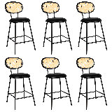 24" Upholstered Rattan Counter & Bar Stool (Set of 6)