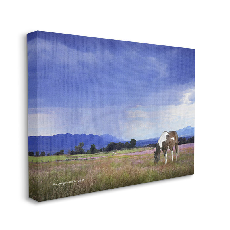 «Sp Spot Horse Grazing Country Grassland» par Chris Vest - photographie sur toile tendue, H 36 po x l 48 po x P 1,5 po