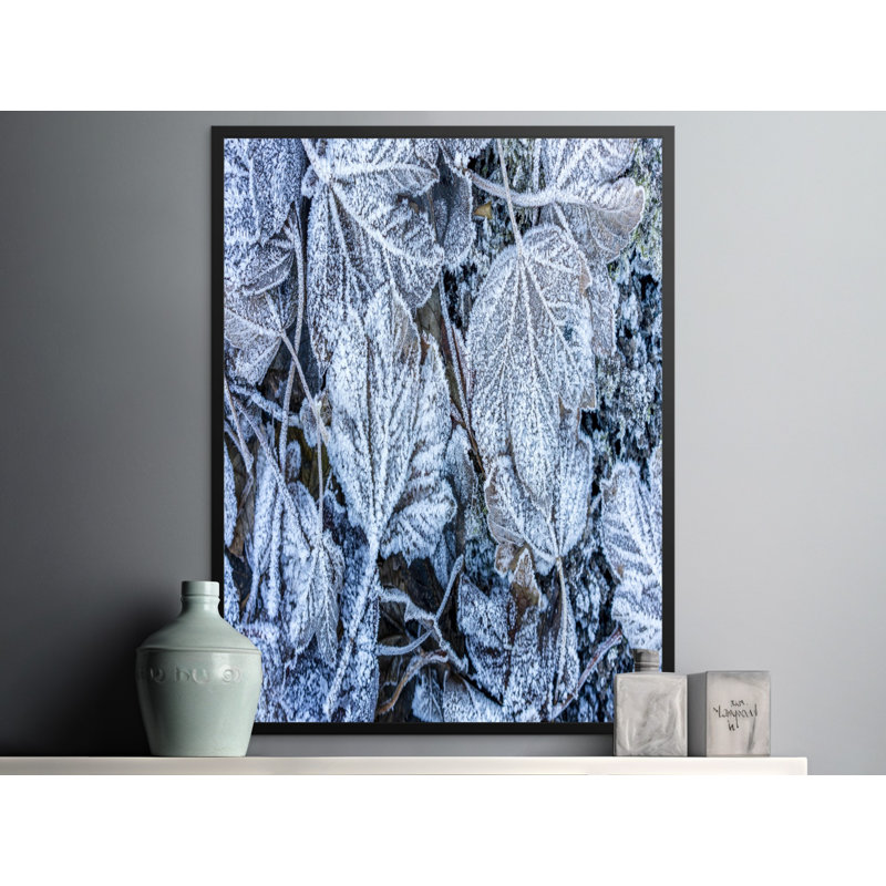 Wiens Floater Frame Print, 24x36