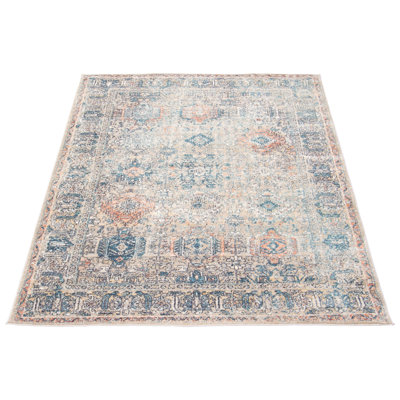 Oriental Indoor Rug