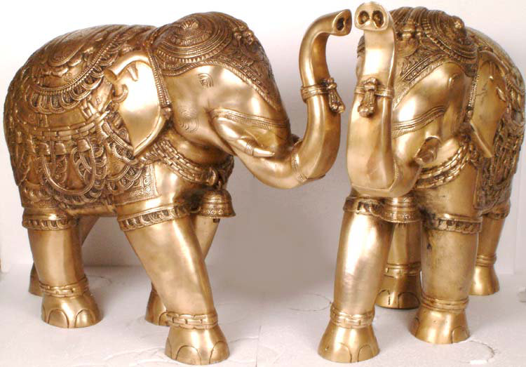 La paire d'éléphants
