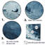 «White Fight», élément abstrait blanc et bleu - formes abstraites_106528-95906956-95906952