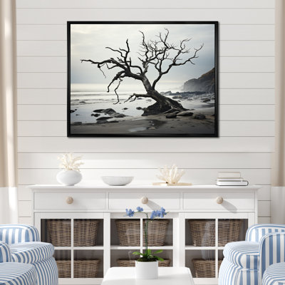 " Beach Tree Photo Serenade "