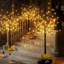  200 LED Birch Tree Light Set, 4ft, 5ft, 6ft Trees with Warm White Lights - Indoor Outdoor Christmas Wedding Party Decorations, Holiday Lighting (3-Pack)-1697275893